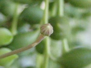 IMG_2298_kr.jpg