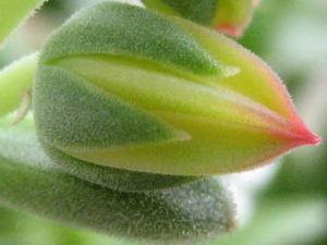 IMG_3028_b_ex.jpg