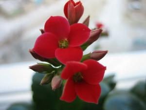 IMG_3765.jpg