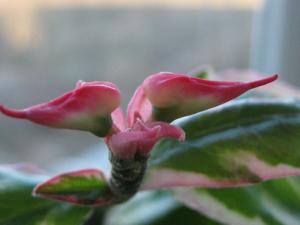 IMG_3876.jpg