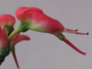 IMG_3959.jpg