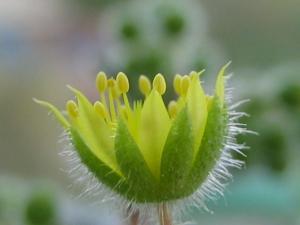 IMG_4932_1.jpg