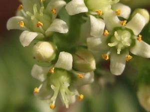 IMG_7298_1.jpg
