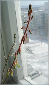 AnnchenDSC05523.jpg
