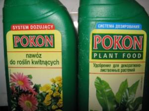 pokon_s1.JPG