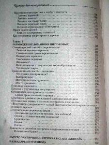 Nat_book_Dadikin4.jpg