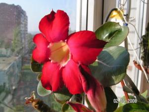 PICT0140.jpg