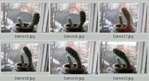 Dance-all04-2007-2.jpg