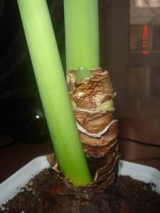 Kiti_016.jpg