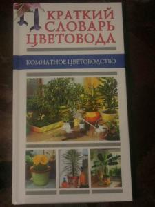 Nata_kn.JPG