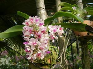 P1020402-3.jpg