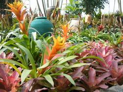 P1020427-2.jpg