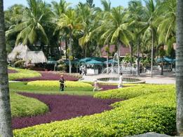 P1000245-1.jpg