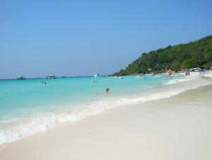 P1000427-3.jpg