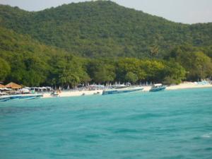 P1000433-4.jpg