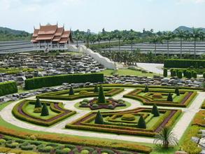 P1000249-1.jpg