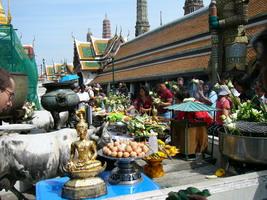 P1000298-1.jpg