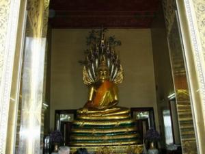 P1000318-1.jpg
