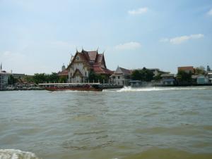P1000323-6.jpg