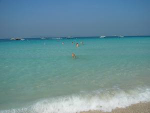 P1000452-2.jpg