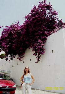 100_0084.jpg