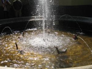 akulinaIMG_0881.JPG