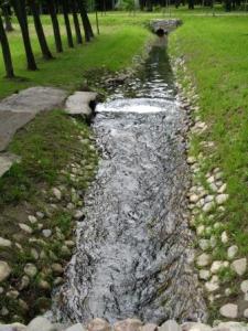 akulinaIMG_2681.JPG