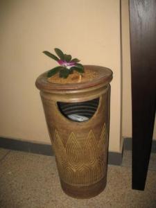 IMG_0969_1.JPG