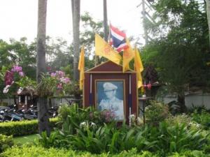 IMG_1223_1.JPG