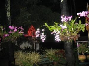 IMG_0970_1.JPG
