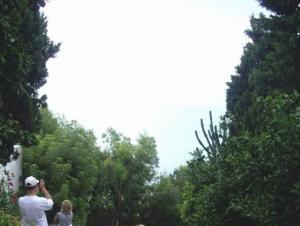 IMGP47941.jpg