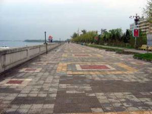 IMG_4844aa.jpg