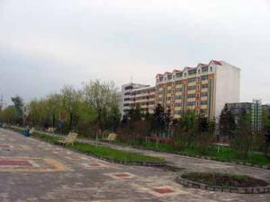 IMG_4846a.jpg