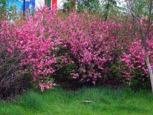 IMG_4859aa.jpg