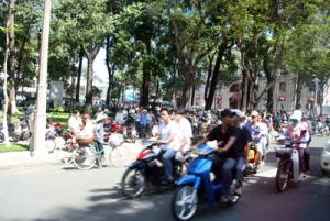 IMG_dr3562.jpg