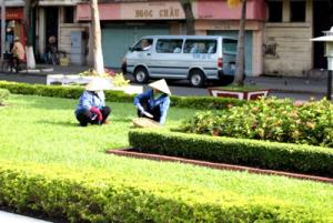 IMG_dr3665.jpg