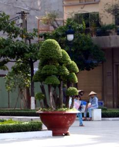 IMG_dr3656.jpg
