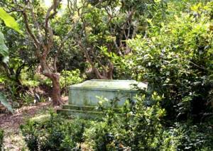 IMG_dr3694.jpg