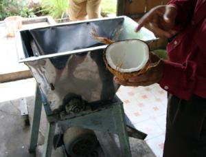 IMG_dr3714.jpg