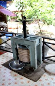 IMG_dr3717.jpg