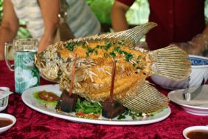 IMG_dr3729.jpg