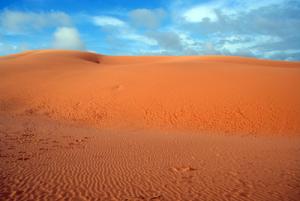 IMG_dr3821.jpg