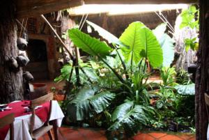 IMG_dr3872.jpg