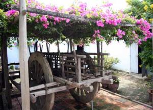 IMG_dr3785.jpg