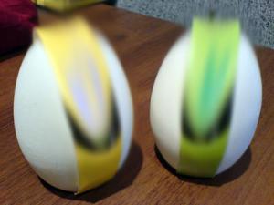 DSC0dr1286.jpg