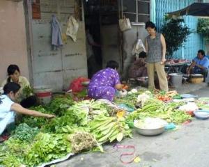 DSCdr02450.JPG