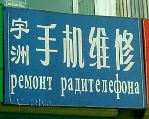dr_SNC10313.jpg