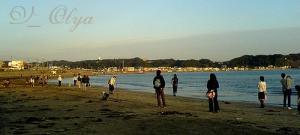 DSC05340.JPG
