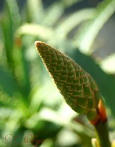 IMG_0324.JPG