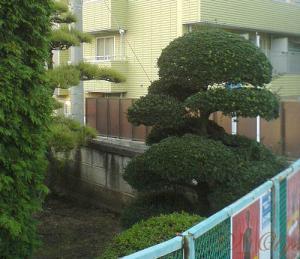 DSC05528.JPG